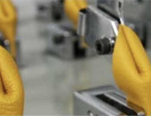 Mycelium-based materials applications in the automotive industry