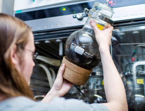 MY-FI materials biodegradability testing